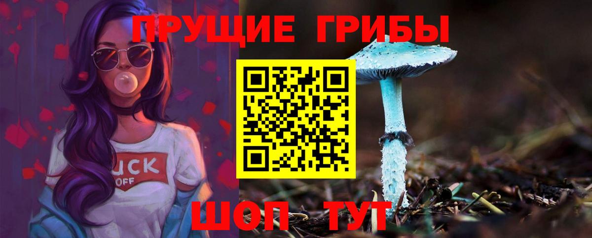 Вышний Волочёк  Псилоцибиновые грибы MAGIC MUSHROOMS  Вход с VPN 